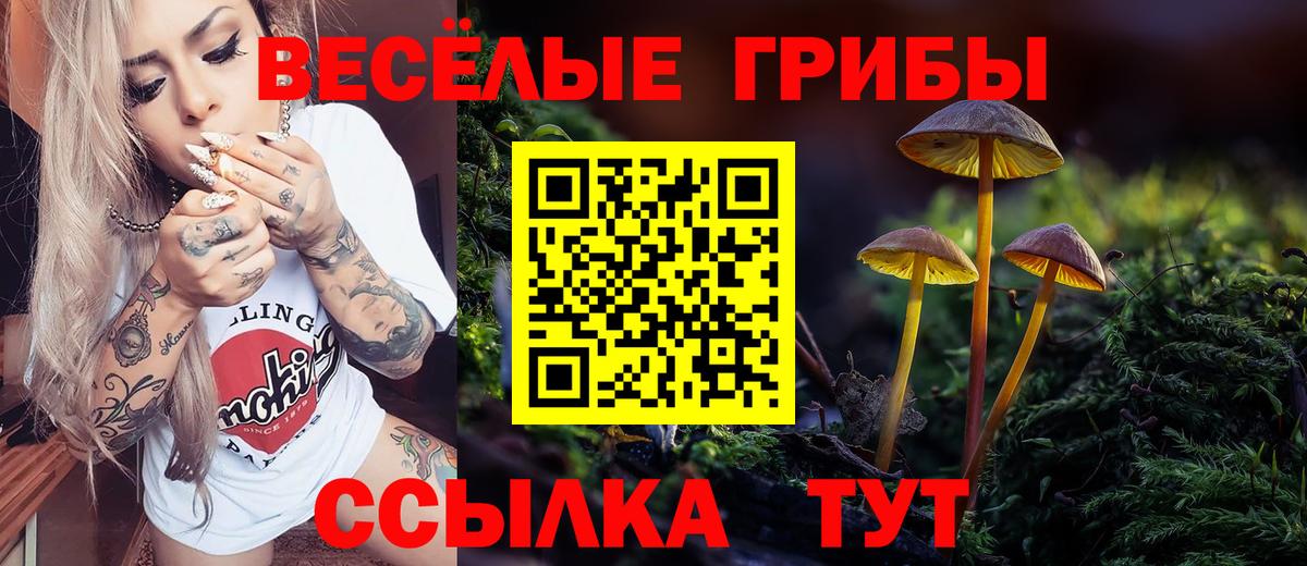 Псилоцибиновые грибы ЛСД  Псилоцибиновые грибы Psilocybine cubensis  Вход с VPN  Саров 